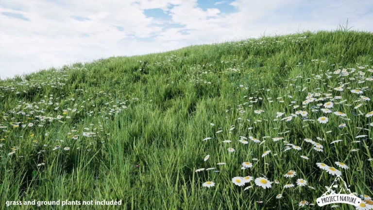 Free Foliage Packs for Unreal Engine Header